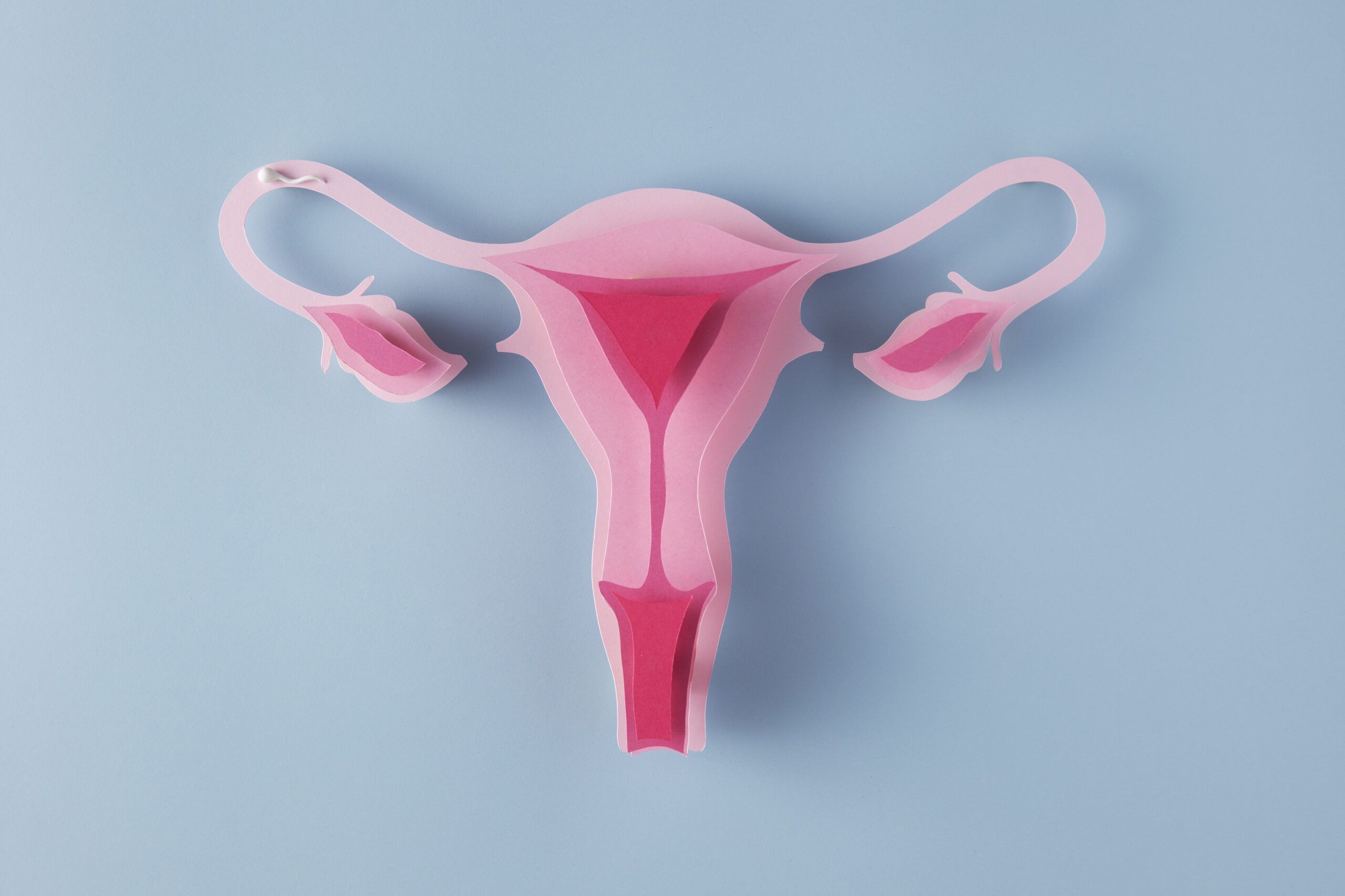 Gynecological cancers: awareness day
