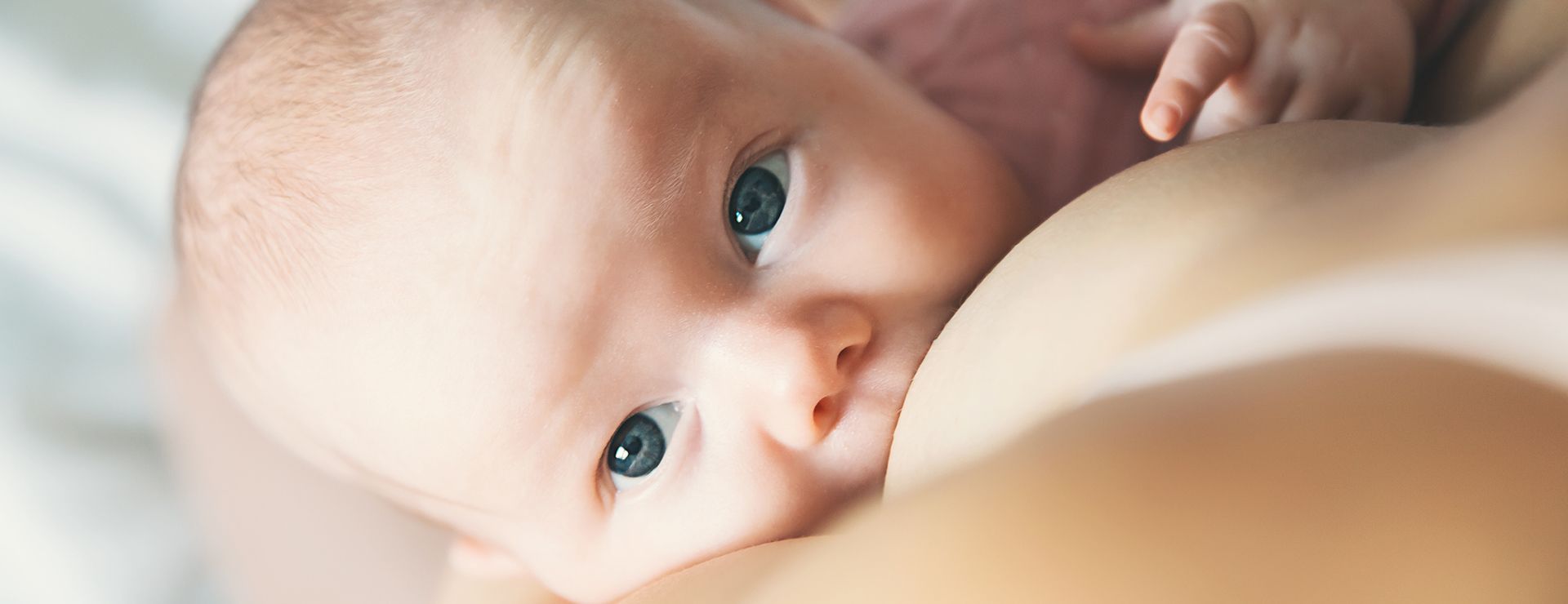 World Breastfeeding Week