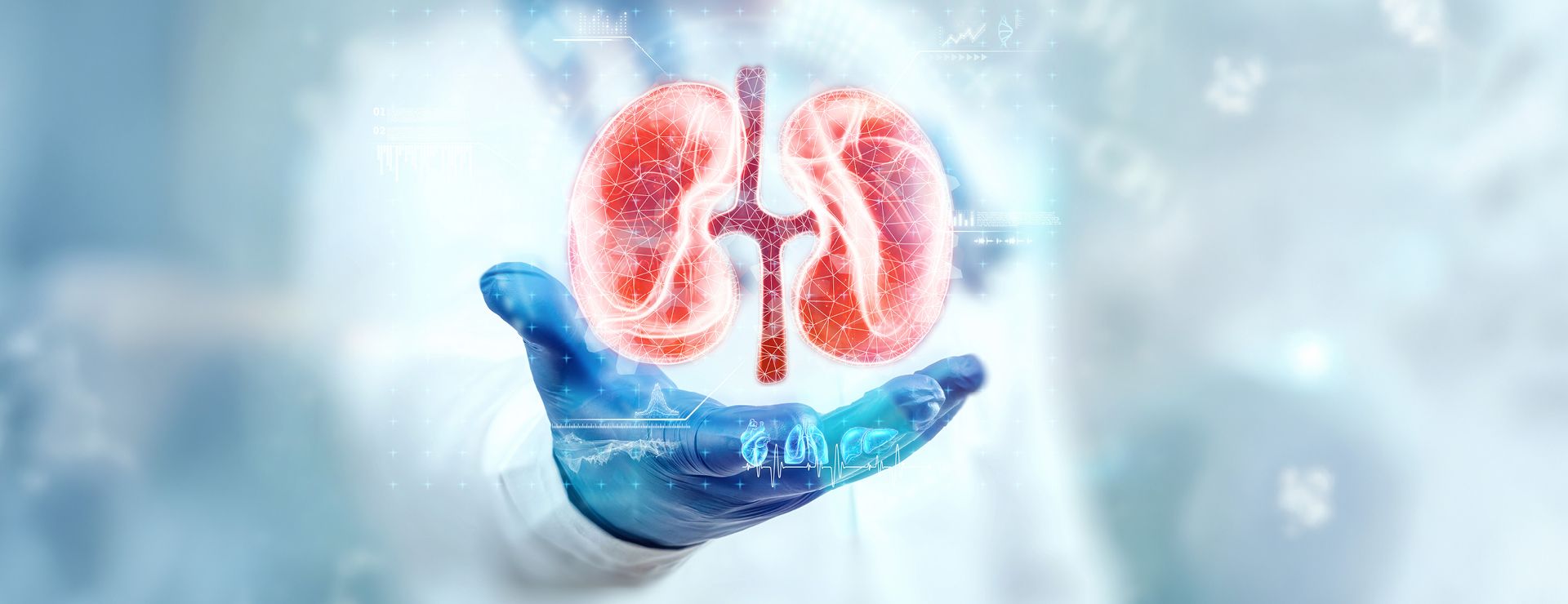 Journée Santé – Semaine nationale du rein