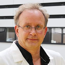 Pascal Delamillieure