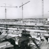 50 years of history