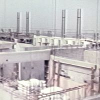 50 years of history